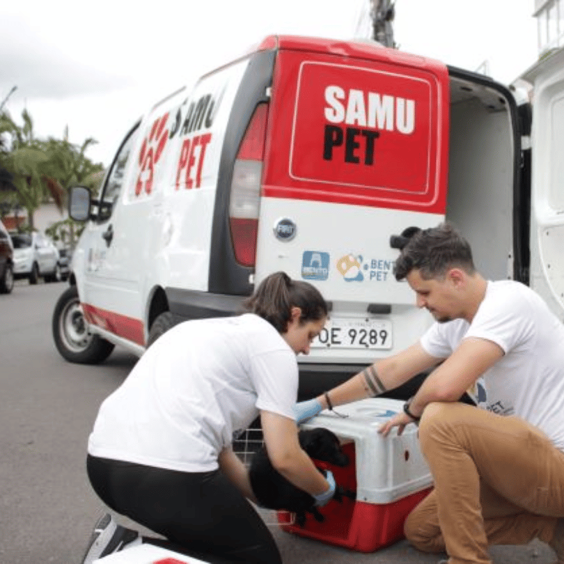 Mais SAMU ANIMAL em todo o Brasil para nossos pets!